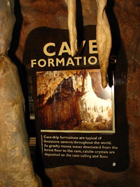 Florida-Caverns-State-Park-Marianna-FL-026