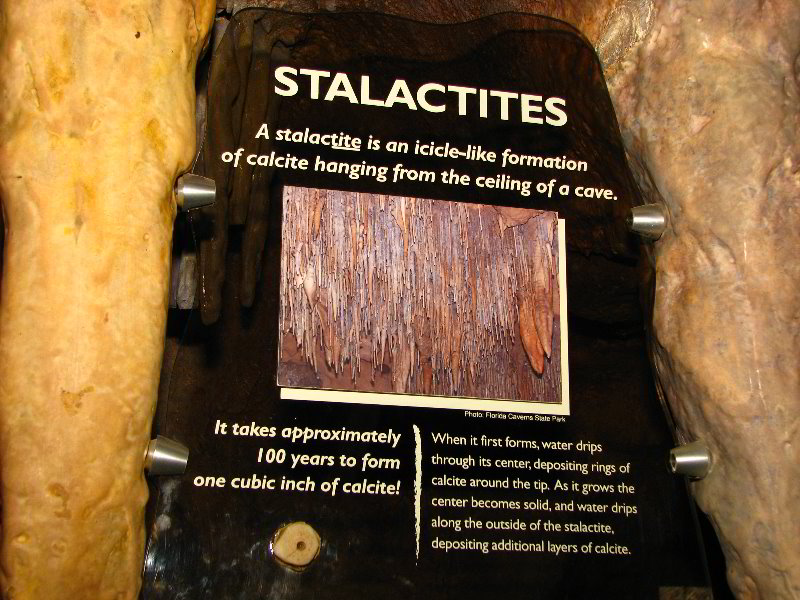 Florida-Caverns-State-Park-Marianna-FL-027