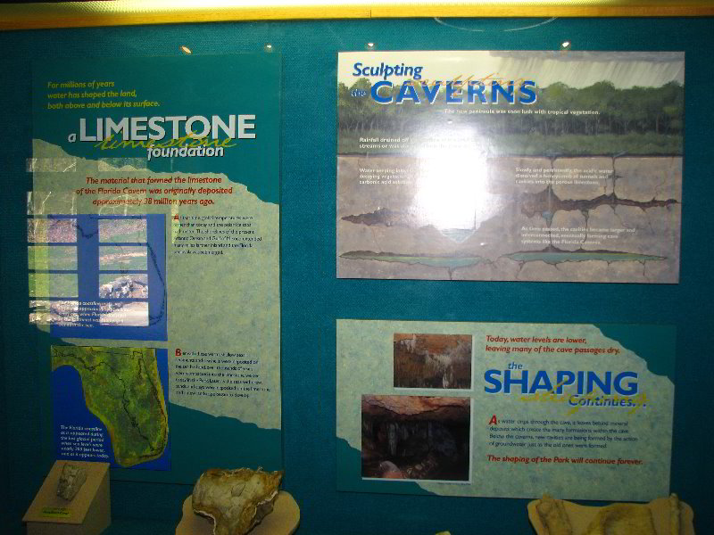 Florida-Caverns-State-Park-Marianna-FL-028