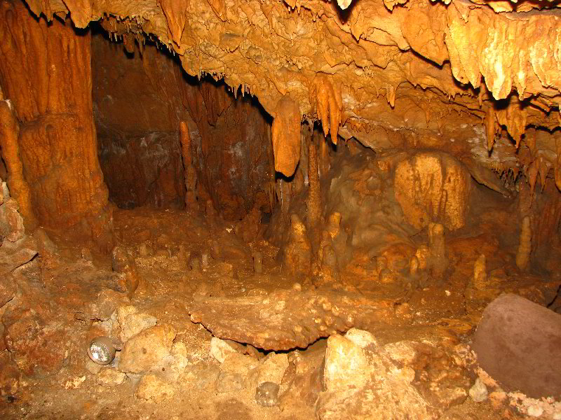 Florida-Caverns-State-Park-Marianna-FL-035