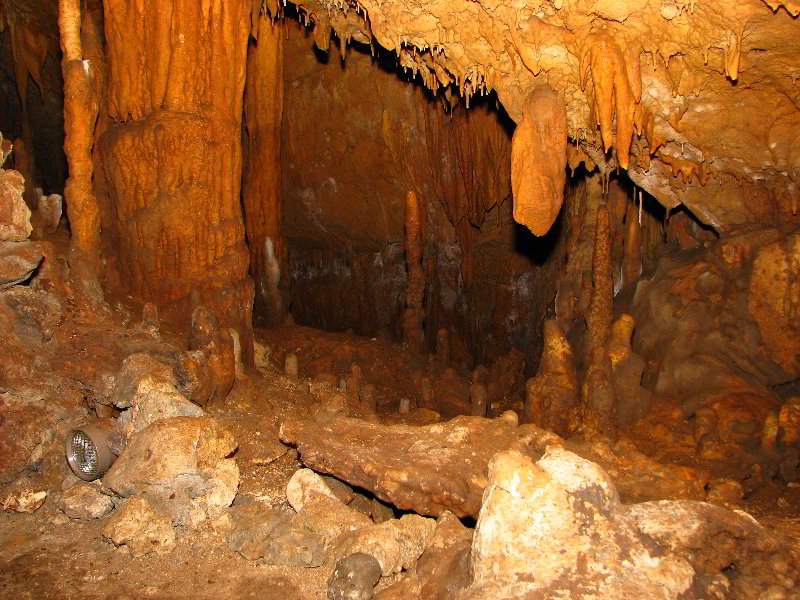 Florida-Caverns-State-Park-Marianna-FL-036