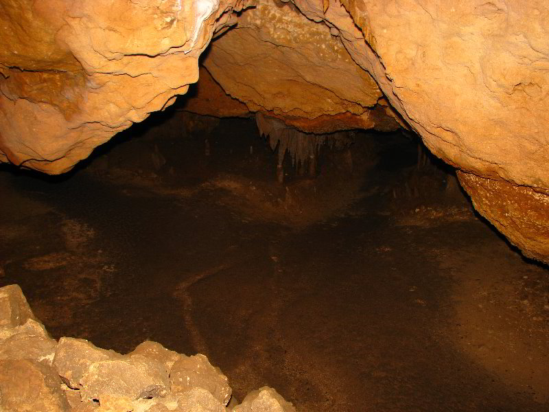 Florida-Caverns-State-Park-Marianna-FL-037