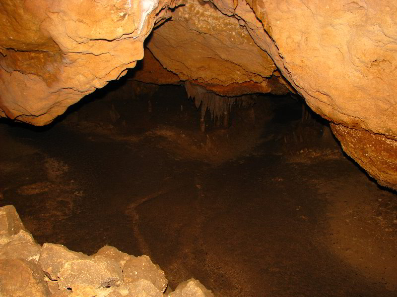 Florida-Caverns-State-Park-Marianna-FL-037