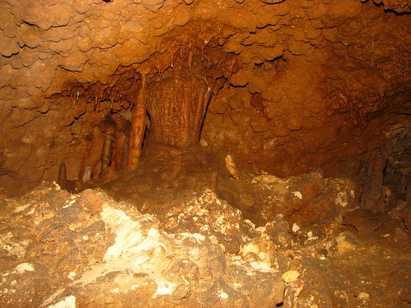 Florida-Caverns-State-Park-Marianna-FL-038