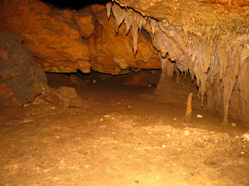 Florida-Caverns-State-Park-Marianna-FL-040