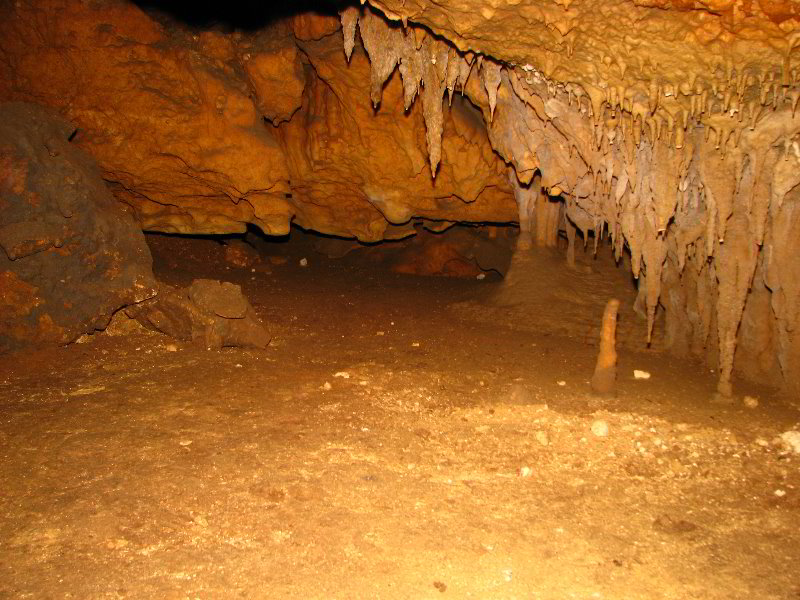 Florida-Caverns-State-Park-Marianna-FL-040