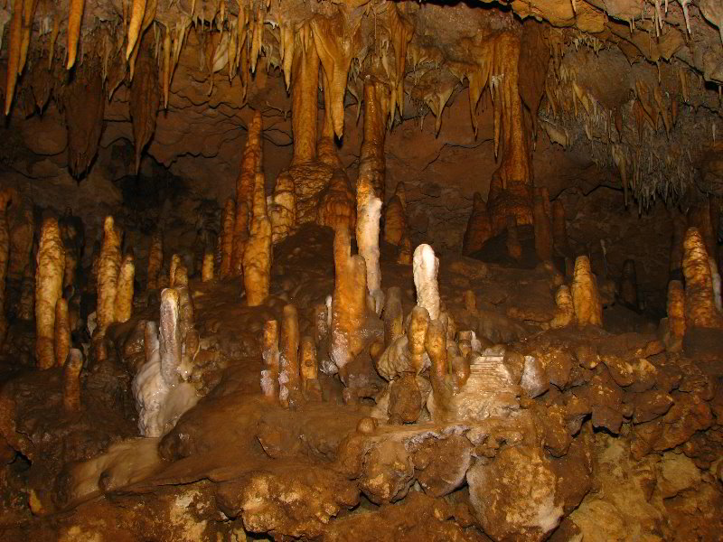 Florida-Caverns-State-Park-Marianna-FL-042