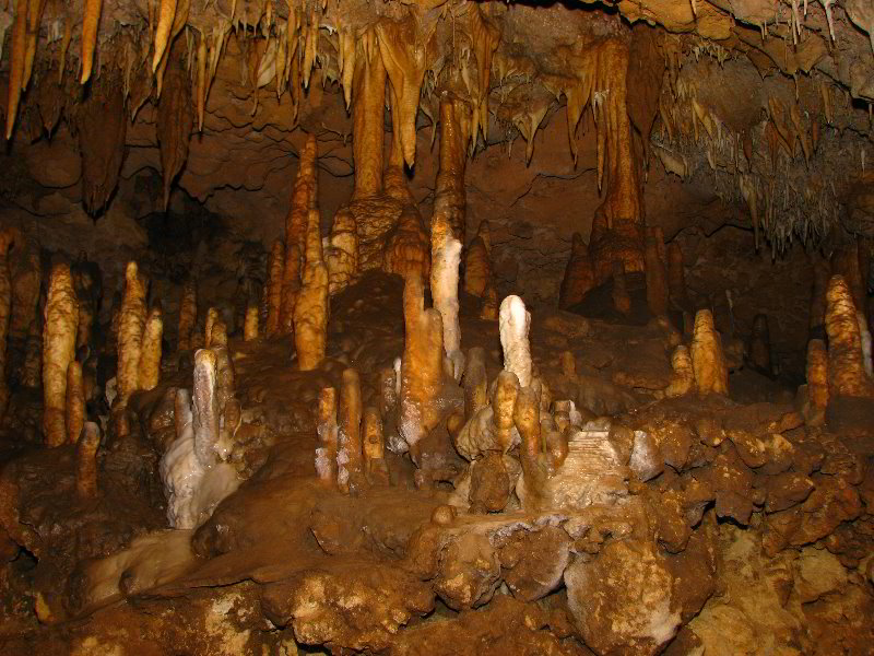 Florida-Caverns-State-Park-Marianna-FL-042