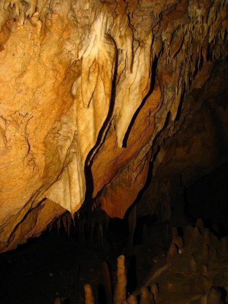 Florida-Caverns-State-Park-Marianna-FL-043