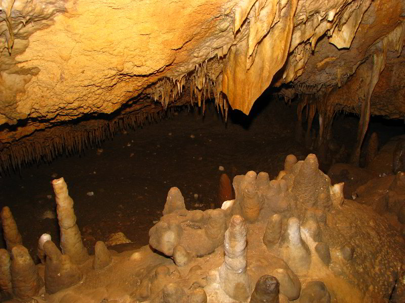 Florida-Caverns-State-Park-Marianna-FL-045