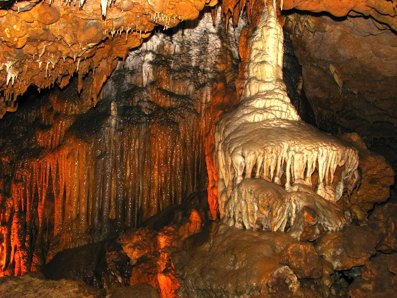 Florida-Caverns-State-Park-Marianna-FL-046