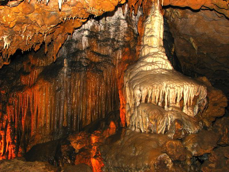 Florida-Caverns-State-Park-Marianna-FL-046