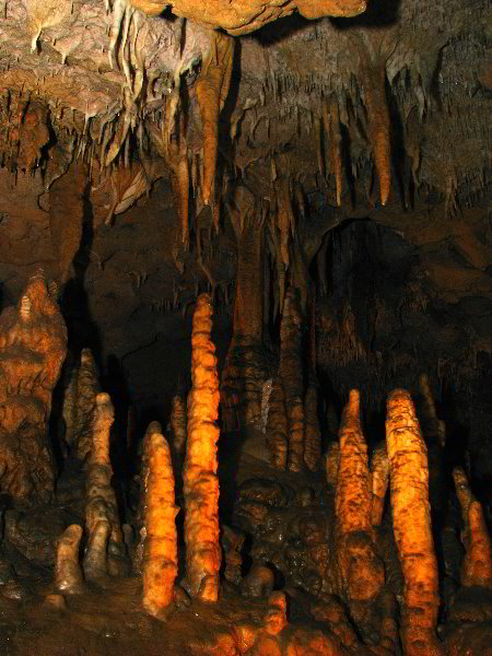 Florida-Caverns-State-Park-Marianna-FL-047