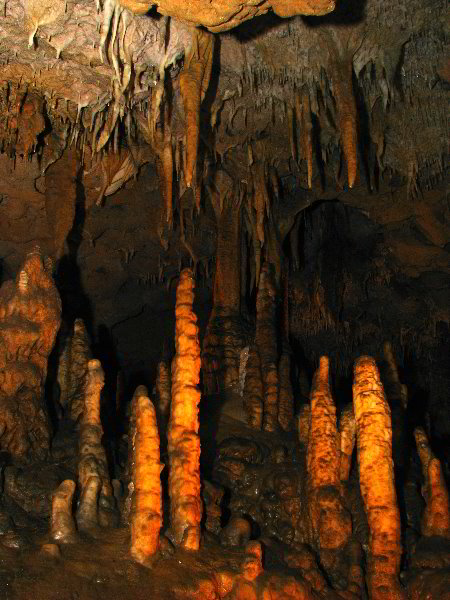 Florida-Caverns-State-Park-Marianna-FL-047