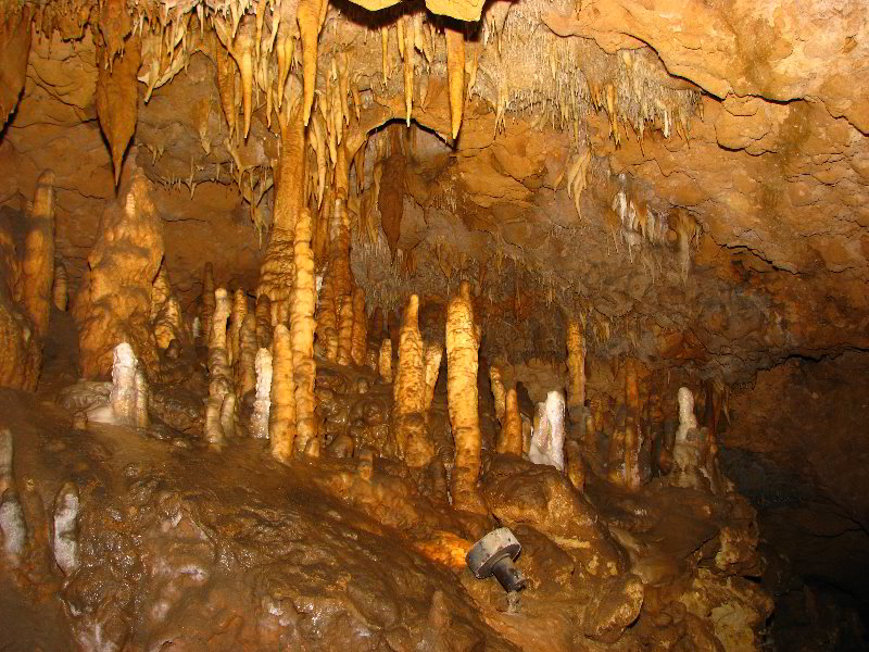 Florida-Caverns-State-Park-Marianna-FL-049