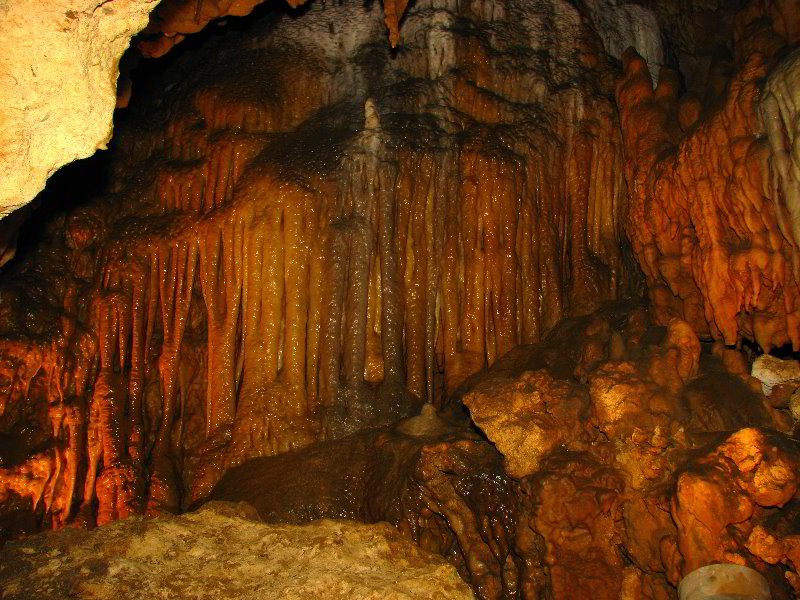 Florida-Caverns-State-Park-Marianna-FL-050