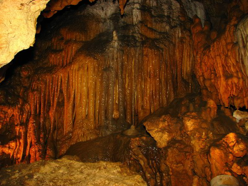 Florida-Caverns-State-Park-Marianna-FL-050