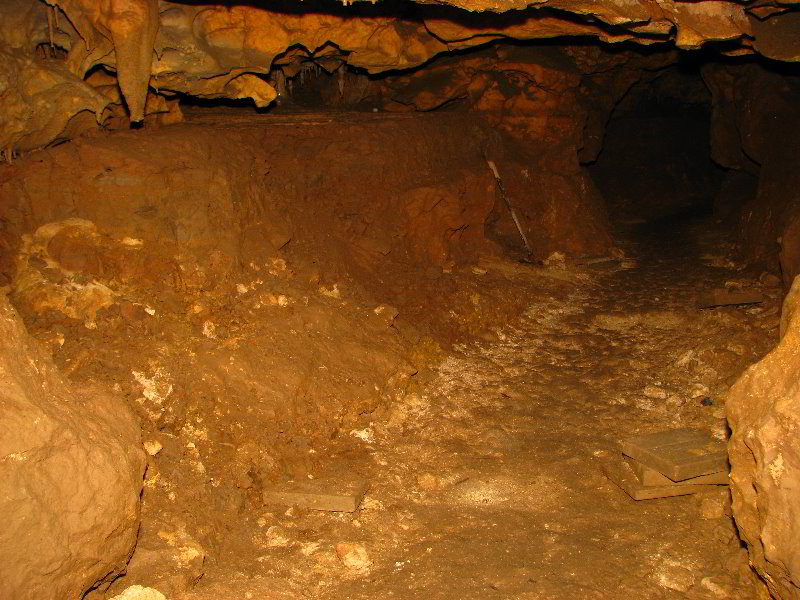 Florida-Caverns-State-Park-Marianna-FL-051