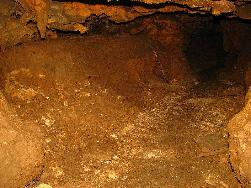 Florida-Caverns-State-Park-Marianna-FL-051