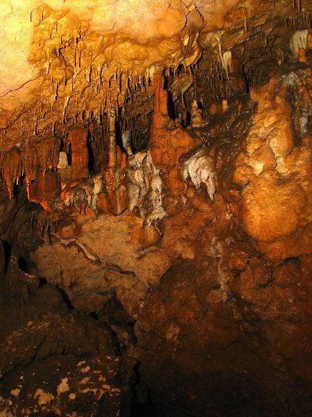 Florida-Caverns-State-Park-Marianna-FL-052