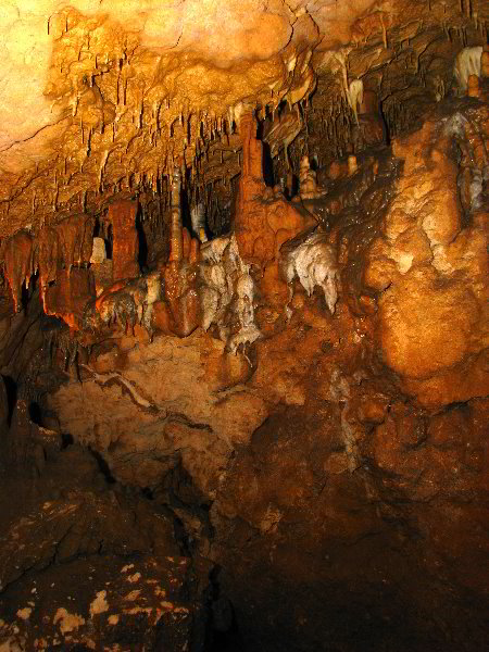 Florida-Caverns-State-Park-Marianna-FL-052