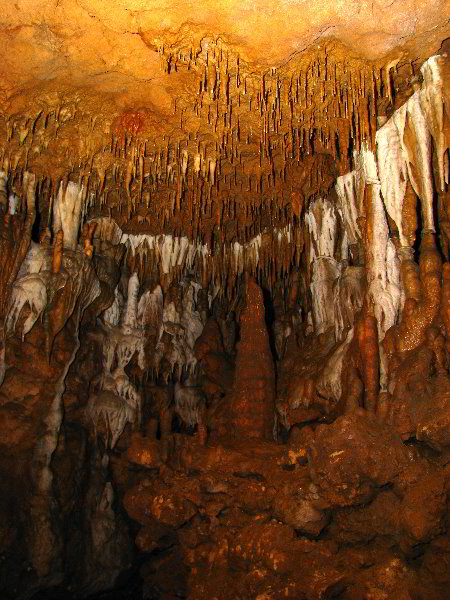 Florida-Caverns-State-Park-Marianna-FL-053