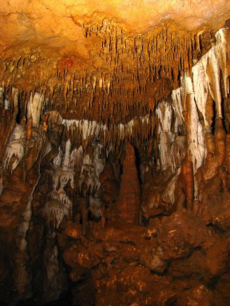 Florida-Caverns-State-Park-Marianna-FL-053