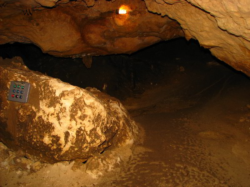 Florida-Caverns-State-Park-Marianna-FL-055