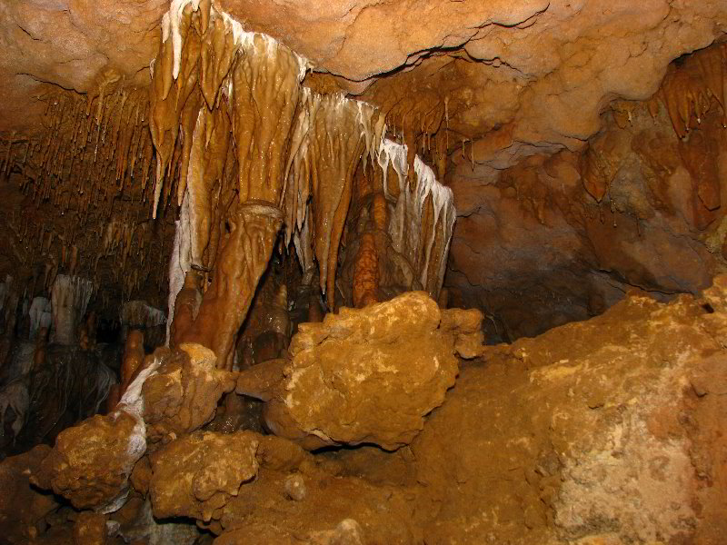 Florida-Caverns-State-Park-Marianna-FL-056