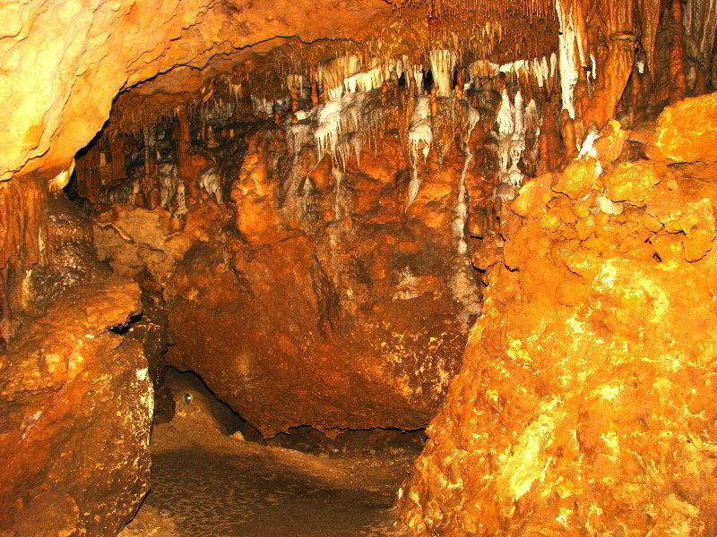 Florida-Caverns-State-Park-Marianna-FL-058