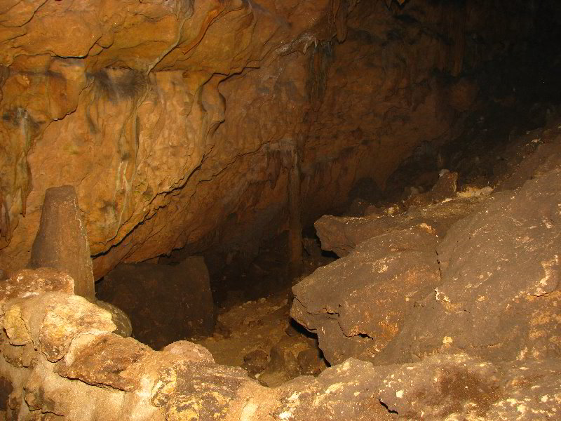 Florida-Caverns-State-Park-Marianna-FL-059