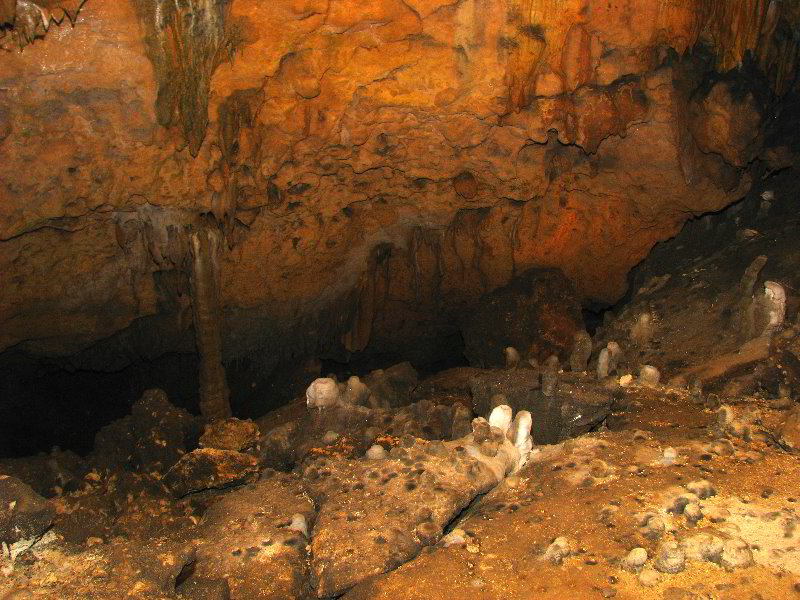 Florida-Caverns-State-Park-Marianna-FL-060