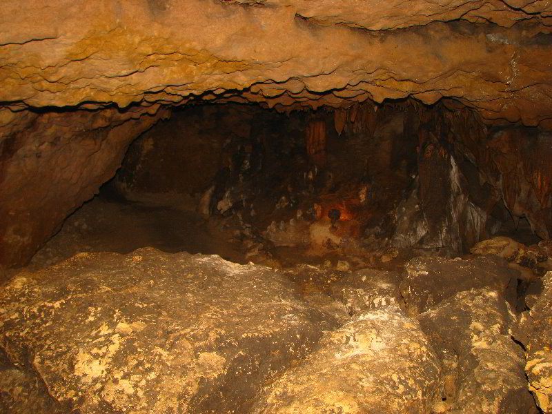 Florida-Caverns-State-Park-Marianna-FL-061