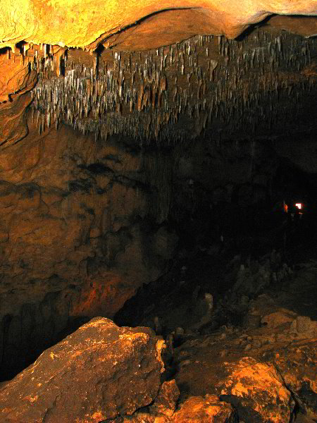 Florida-Caverns-State-Park-Marianna-FL-062