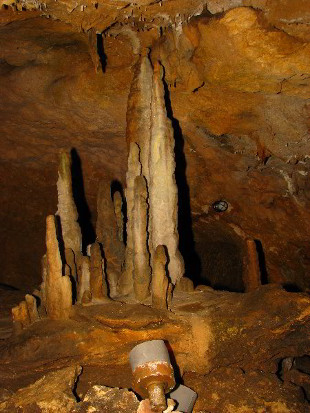 Florida-Caverns-State-Park-Marianna-FL-063
