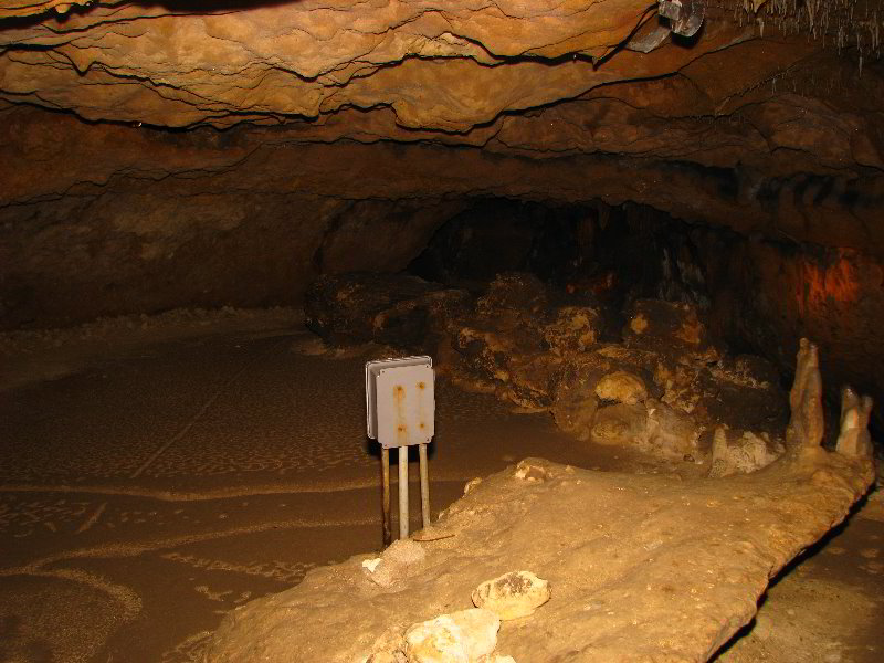 Florida-Caverns-State-Park-Marianna-FL-065