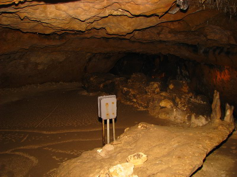 Florida-Caverns-State-Park-Marianna-FL-065