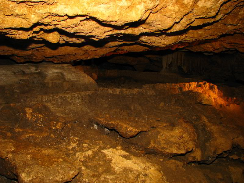 Florida-Caverns-State-Park-Marianna-FL-066