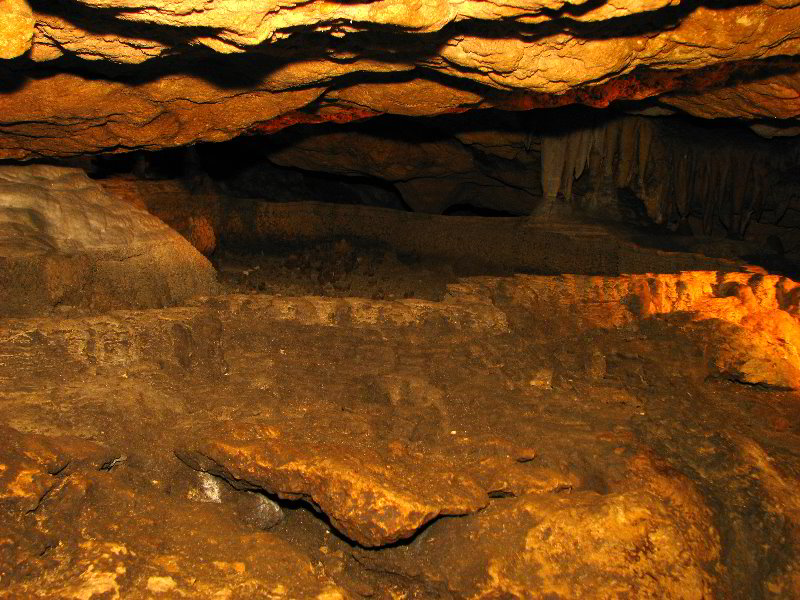 Florida-Caverns-State-Park-Marianna-FL-067