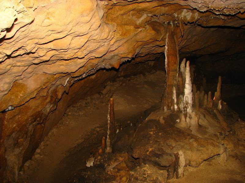 Florida-Caverns-State-Park-Marianna-FL-068