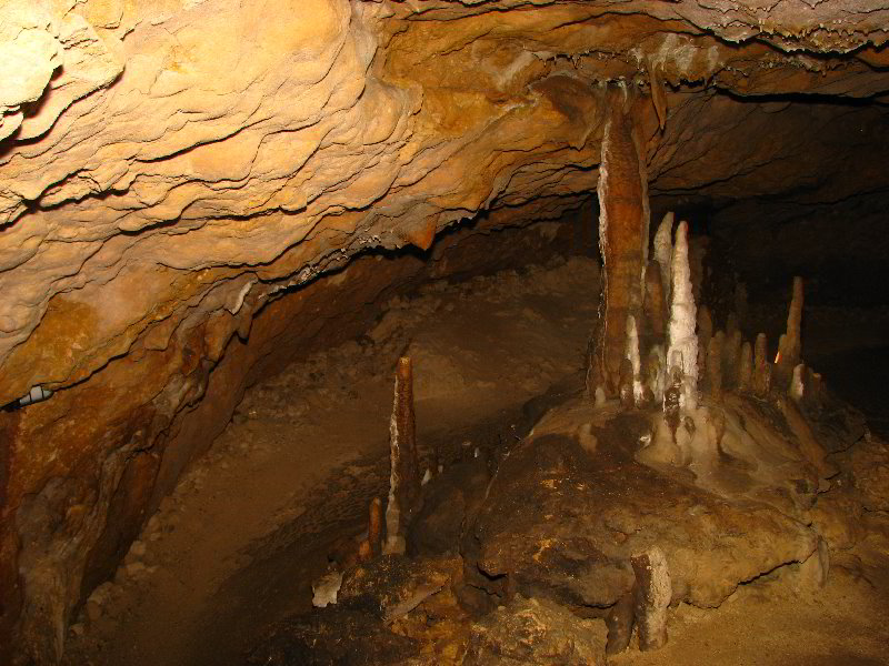 Florida-Caverns-State-Park-Marianna-FL-068