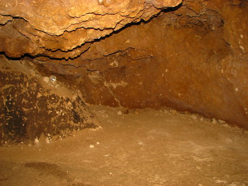 Florida-Caverns-State-Park-Marianna-FL-069