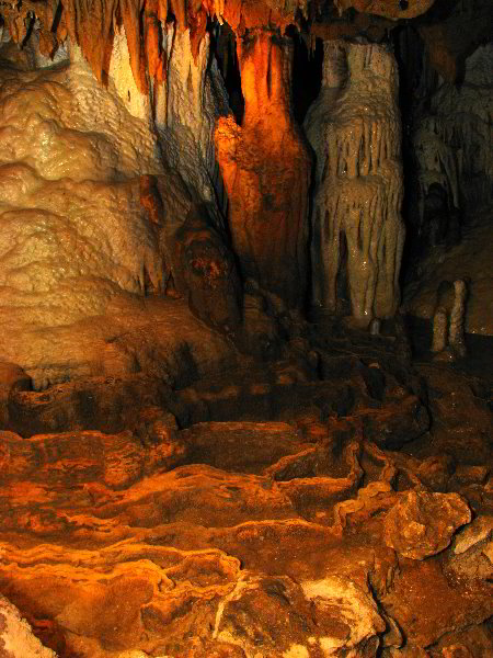 Florida-Caverns-State-Park-Marianna-FL-071
