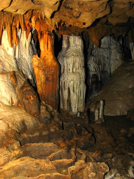 Florida-Caverns-State-Park-Marianna-FL-072