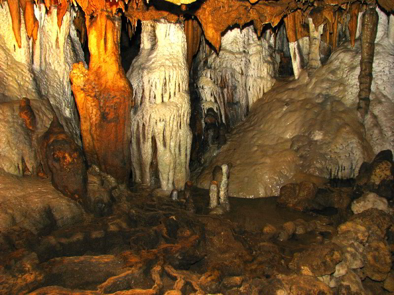 Florida-Caverns-State-Park-Marianna-FL-073