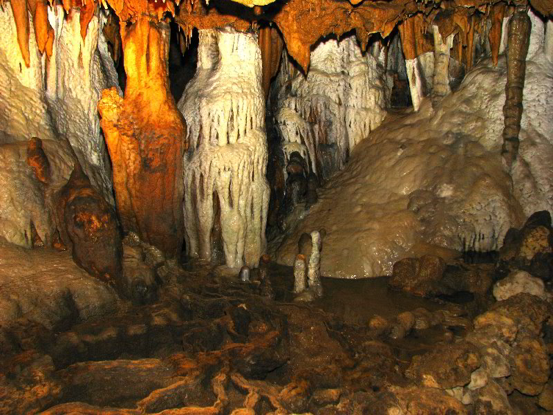 Florida-Caverns-State-Park-Marianna-FL-073