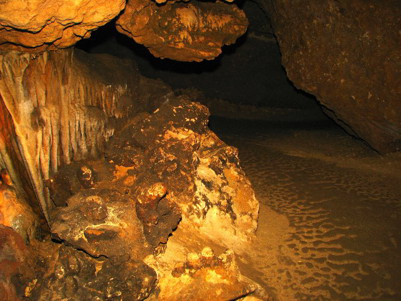 Florida-Caverns-State-Park-Marianna-FL-074