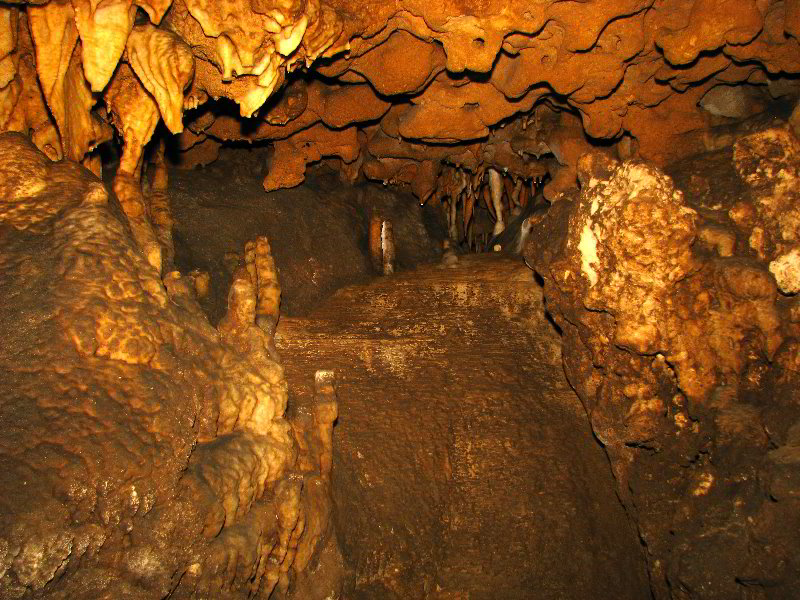 Florida-Caverns-State-Park-Marianna-FL-075