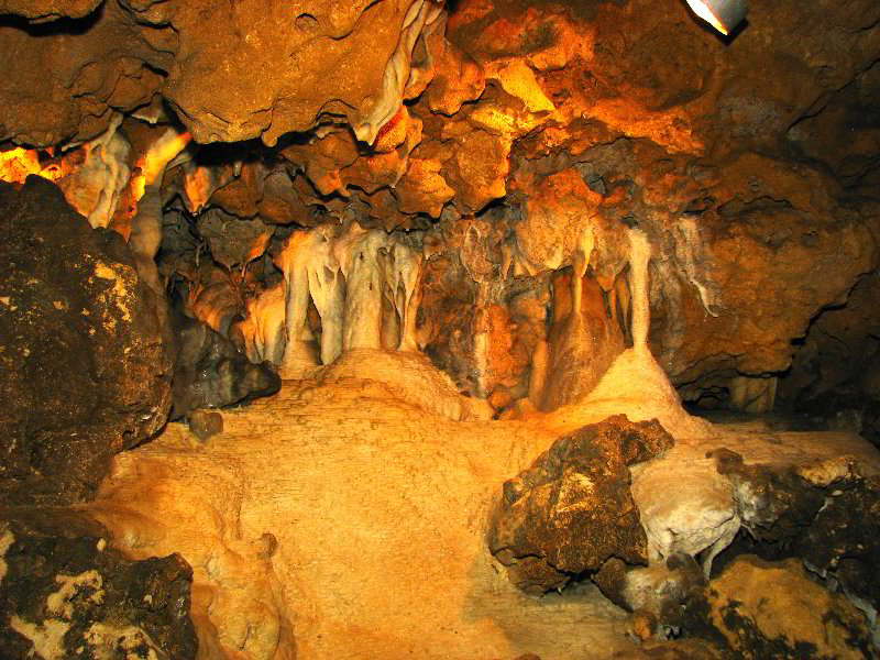 Florida-Caverns-State-Park-Marianna-FL-076