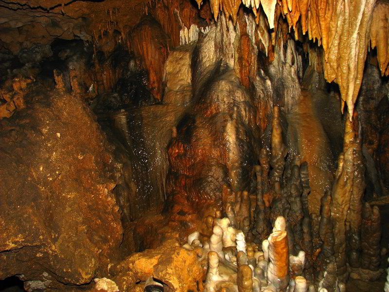 Florida-Caverns-State-Park-Marianna-FL-077